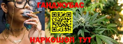 прущие крисы Аргун