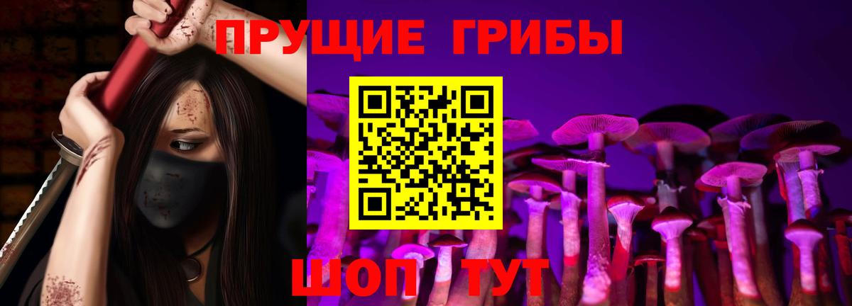 Псилоцибиновые грибы мицелий Пенза